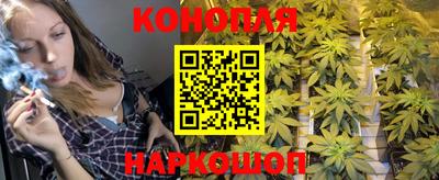 мяу мяу мука Новозыбков