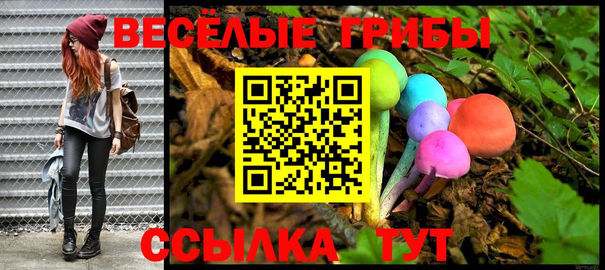 Псилоцибиновые грибы GOLDEN TEACHER Сальск