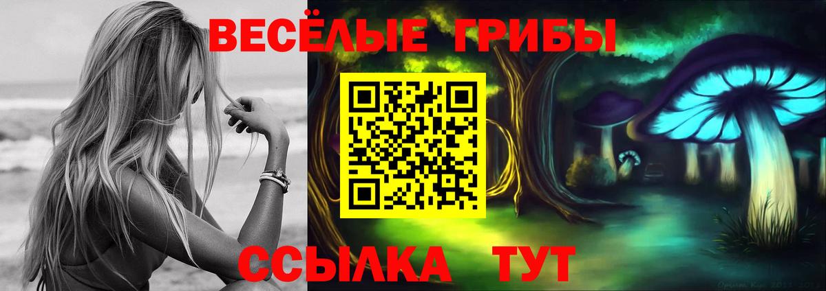 Галлюциногенные грибы GOLDEN TEACHER  Вход с VPN  Сальск  Галлюциногенные грибы ЛСД 