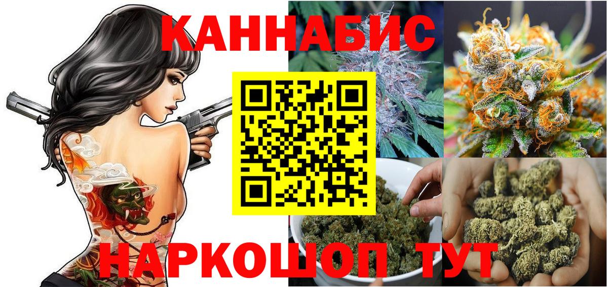 Марихуана конопля Сальск
